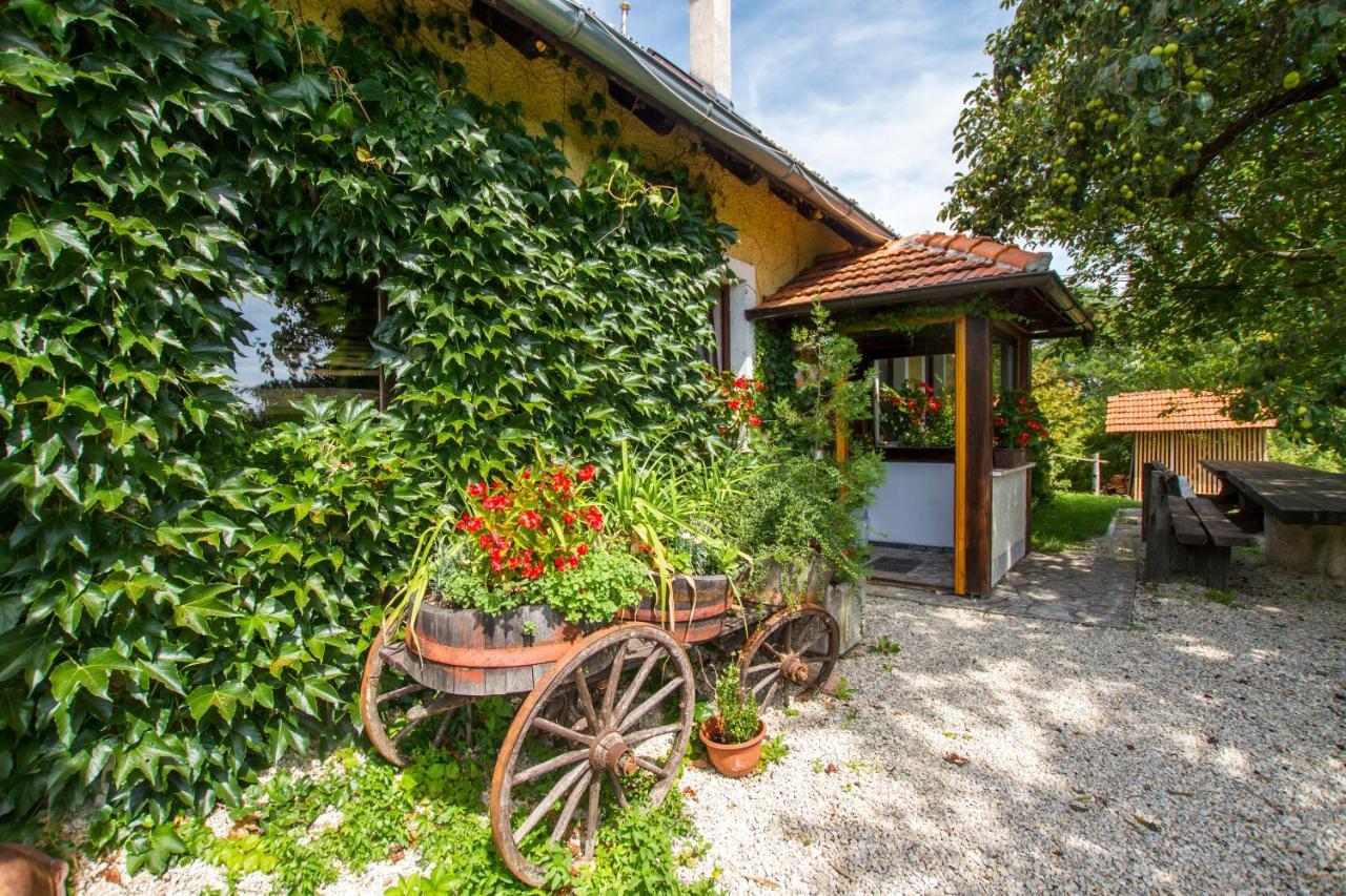 Holiday Home Juricko With Private Sauna Bizeljsko Exterior photo